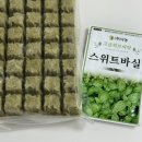 푸른봄센터 | [초보가드너 1] LG틔운미니로 바질테크 시작! (+ 내돈내산 그로단 추천✨)