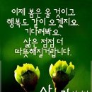 봄날같은하루 이미지