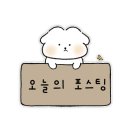 우리동네5분만두 이미지