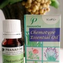 카페더아로마 이미지