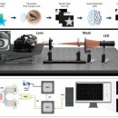 정콘택트 이미지