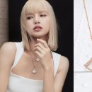 더하이엔드 이미지