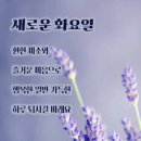 화요일 - 안양시 동안구 동편로27번길 26-12 | 화요일