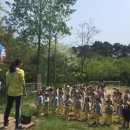 대장나무숲놀이터 이미지