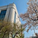 [4월] 둘째주 일상🍮 (컴활 필기 시험/신동사3/행궁동 나들이/블로그 시작/경희대 겹벚꽃/동탄 롯백)