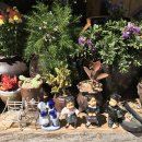 철수야학교가자 이미지