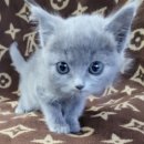 여주 멍스타 이미지