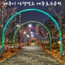 세종호수공원 제1주차장 | 세종시 야경명소 세종호수공원