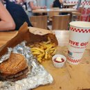 남한산성 비둘기광장 | 종결한다, 밀라노 with 이탈리아 전체도시 후기 (비둘기 사기, 밀라노대성당, 파이브가이즈...