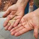 책+식물놀이터 | ❗엄마들 저장각📌 구리 아이랑 무료 끝판왕 “구리곤충생태관” 솔직 후기 (놀이터+체험까지 다 무료🔥)