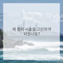 이신일그레이스성형외과의원 네이버블로그