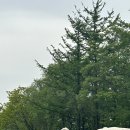 선민목장 이미지