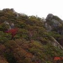 장수덕유산 이미지