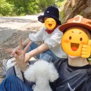 433 | 남양주 운길산 수종사 후기｜등산 아니고 힐링하러 갔다가 중턱에서 참회한 날