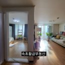 속초부영공인중개사사무소 이미지