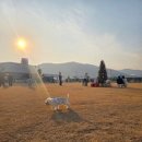 하이멍 애견카페 이미지