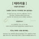 브라이오피트갤러리 | 원주 공방 테라리움 인테리어소품 브라이오피트갤러리 겨울데이트