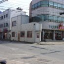 용장리 느티나무 이미지