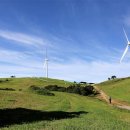 머리목장 이미지