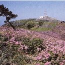 스포츠파크 해안도로 이미지