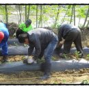 안성시시설관리공단 노동조합 이미지