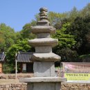 강진 순환 셔틀버스 타고 가볼 수 있는 곳 총정리