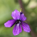 밀양댐생태공원 이미지