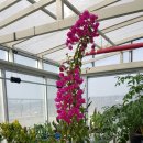 메디움천안요양병원 이미지