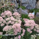 대산로545번길 이미지