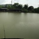 합천손맛낚시터 이미지