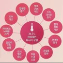 살깍아주는언니들 | [체온업 다이어트] 살깎아주는언니 강남 다이어트, 강남 예신관리