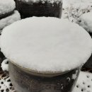 통일촌장단콩마을 이미지