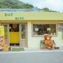집나간피노키오