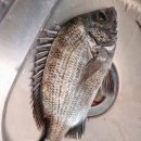 고성섬나들이 이미지