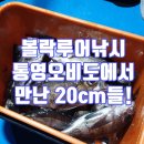 오비도낚시 이미지