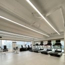 뷰티풀피티 이미지