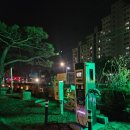 한정식 소나무 앞 이미지