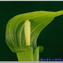 달맞이 펜션 이미지