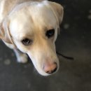 말마니 게스트하우스 이미지