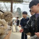 덕정농장 이미지