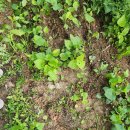 면목천로 어르신 쉼터 이미지