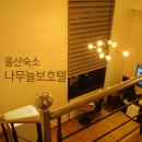 나무늘보호텔 이미지