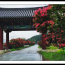 유신사