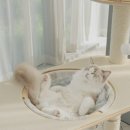 오로라 캣 이미지