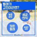 해모로 세탁 이미지