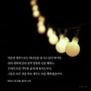 슬기로운신앙생활(47)"믿음의 선한 싸움!" - 넷째, 멀멀 가가의 기준(디모데전서 6장 11절, 로마서 7장 15~25절) 이미지