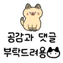 황금산 고양이 이미지