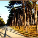 사천항포구 이미지