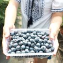 청양알프스산양목장 이미지