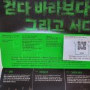 한국무용 <걷다 바라보다 그리고 서다> | 한국무용 ‘걷다 바라보다 그리고 서다’ 를 보고 눈물이 고였던 이유! 제주아트센터